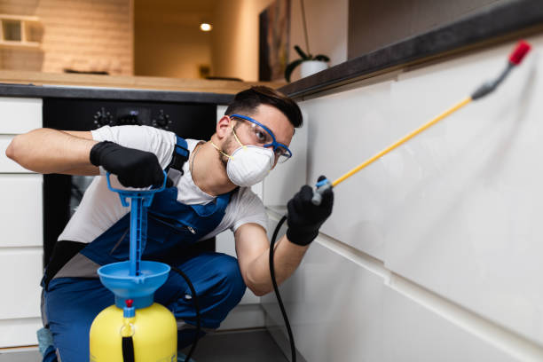 Best Ant Control Services  in Bartlett, TX
