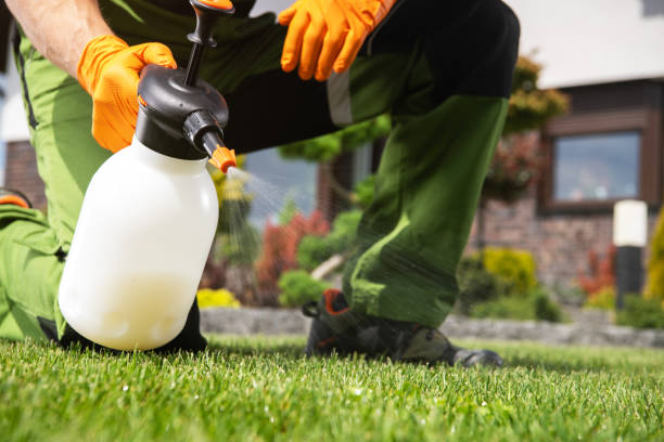Best Commercial Pest Control Services  in Bartlett, TX